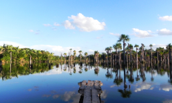 Lagoa das Áraras