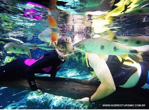 IMG-20160711-WA0004 IMG-20160711-WA0004